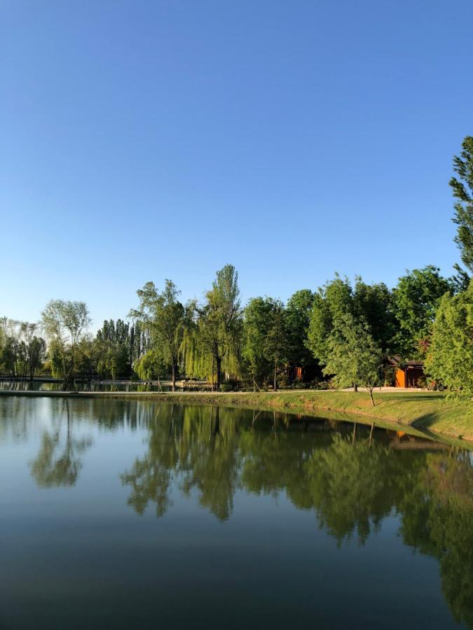 Chalet B&B Laghetti Martina Crevalcore Екстериор снимка
